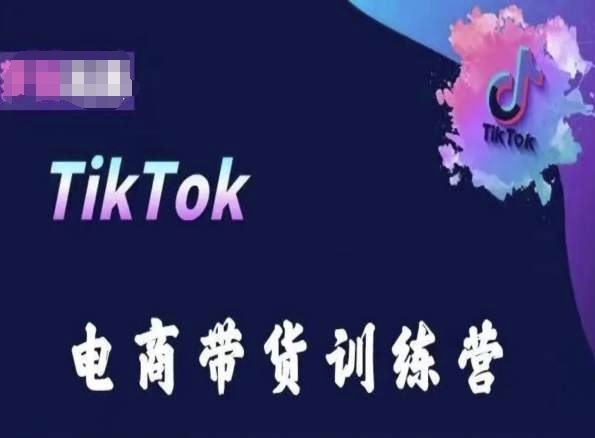 TikTok电商带货训练营，跟随时代潮流，跨境掘金网赚项目-副业赚钱-互联网创业-资源整合八方网创