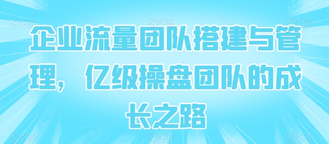 企业流量团队搭建与管理，亿级操盘团队的成长之路网赚项目-副业赚钱-互联网创业-资源整合八方网创