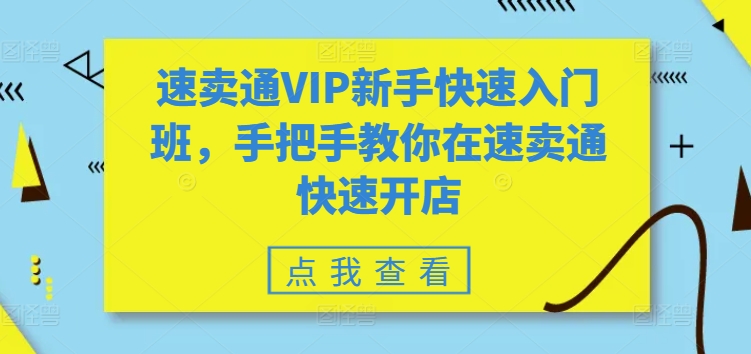 速卖通VIP新手快速入门班，手把手教你在速卖通快速开店网赚项目-副业赚钱-互联网创业-资源整合八方网创