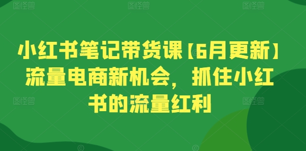 小红书笔记带货课【6月更新】流量电商新机会，抓住小红书的流量红利网赚项目-副业赚钱-互联网创业-资源整合八方网创
