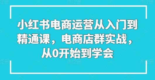 小红书电商运营从入门到精通课，电商店群实战，从0开始到学会网赚项目-副业赚钱-互联网创业-资源整合八方网创