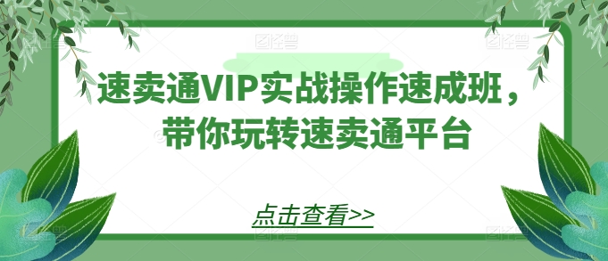 速卖通VIP实战操作速成班，带你玩转速卖通平台网赚项目-副业赚钱-互联网创业-资源整合八方网创