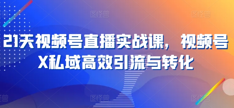 21天视频号直播实战课，视频号X私域高效引流与转化网赚项目-副业赚钱-互联网创业-资源整合八方网创
