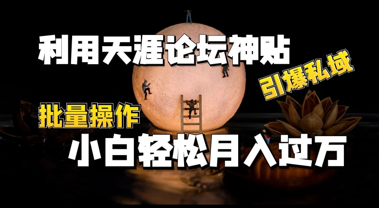 利用天涯论坛神贴，引爆私域，批量操作，小白轻松月入过w网赚项目-副业赚钱-互联网创业-资源整合八方网创