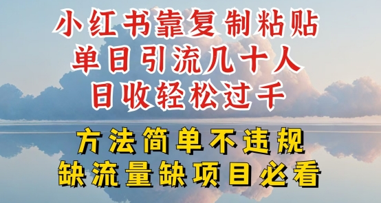 小红书靠复制粘贴单日引流几十人目收轻松过千，方法简单不违规网赚项目-副业赚钱-互联网创业-资源整合八方网创