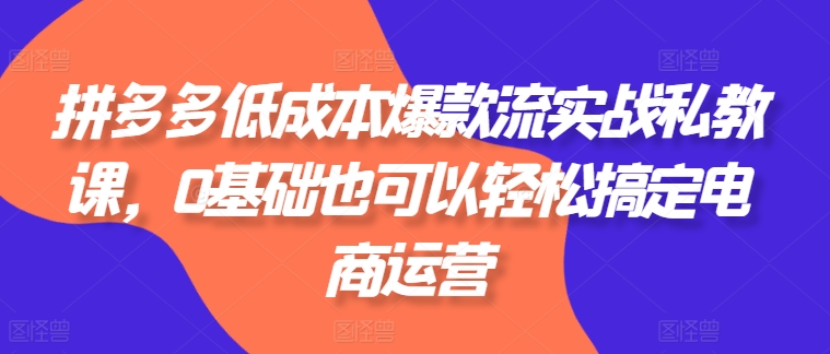 拼多多低成本爆款流实战私教课，0基础也可以轻松搞定电商运营网赚项目-副业赚钱-互联网创业-资源整合八方网创