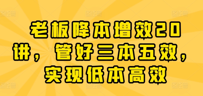 老板降本增效20讲，管好三本五效，实现低本高效网赚项目-副业赚钱-互联网创业-资源整合八方网创