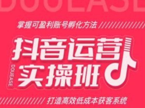 抖音运营实操班，掌握可盈利账号孵化方法，打造高效低成本获客系统网赚项目-副业赚钱-互联网创业-资源整合八方网创