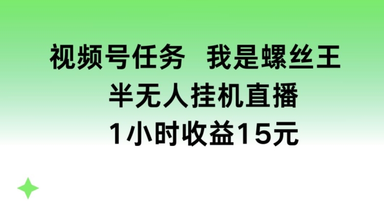 视频号任务，我是螺丝王， 半无人挂机1小时收益15元网赚项目-副业赚钱-互联网创业-资源整合八方网创