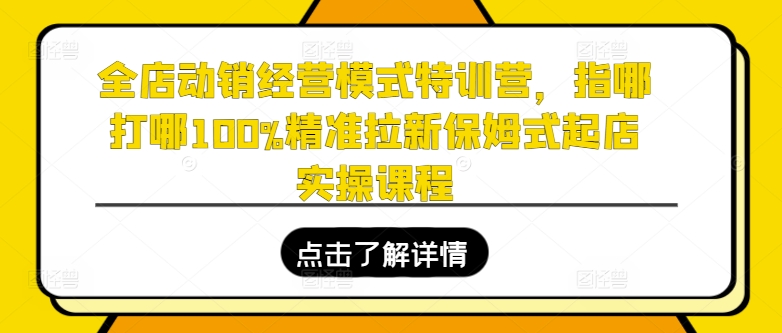 全店动销经营模式特训营，指哪打哪100%精准拉新保姆式起店实操课程网赚项目-副业赚钱-互联网创业-资源整合八方网创