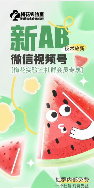 梅花实验室2024年AB技术视频号AB合成破解版网赚项目-副业赚钱-互联网创业-资源整合八方网创