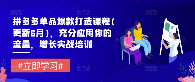 拼多多单品爆款打造课程(更新6月)，充分应用你的流量，增长实战培训网赚项目-副业赚钱-互联网创业-资源整合八方网创
