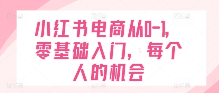 小红书电商从0-1，零基础入门，每个人的机会网赚项目-副业赚钱-互联网创业-资源整合八方网创
