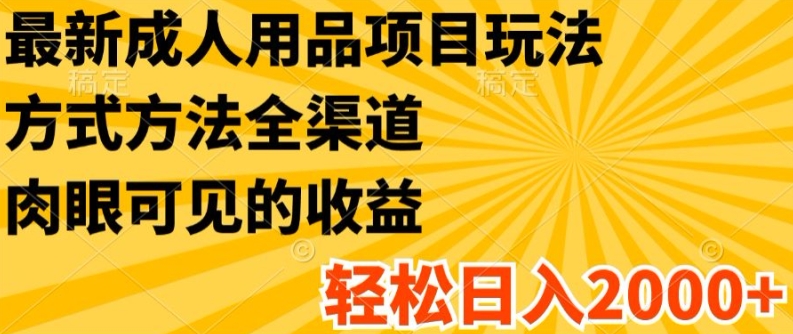 最新成人用品项目玩法，方式方法全渠道，轻松日入2K+网赚项目-副业赚钱-互联网创业-资源整合八方网创