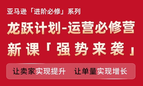 亚马逊进阶必修系列，龙跃计划-运营必修营新课，让卖家实现提升 让单量实现增长网赚项目-副业赚钱-互联网创业-资源整合八方网创