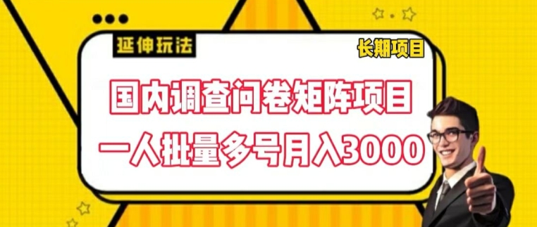 国内调查问卷矩阵项目，一人批量多号月入3000网赚项目-副业赚钱-互联网创业-资源整合八方网创