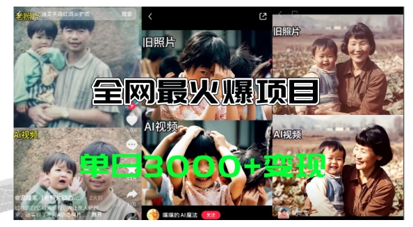 全网爆火的AI让老照片动起来教程，蹭热点日赚3k+，内含免费工具一键可生成网赚项目-副业赚钱-互联网创业-资源整合八方网创
