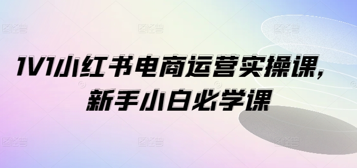 1V1小红书电商运营实操课，新手小白必学课网赚项目-副业赚钱-互联网创业-资源整合八方网创
