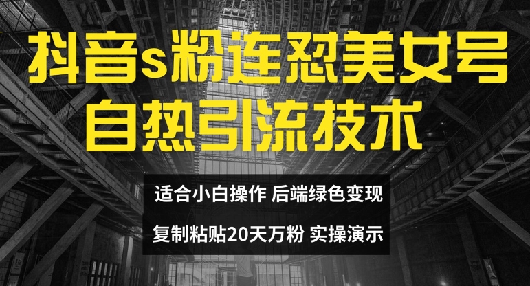抖音s粉连怼美女号自热引流技术复制粘贴，20天万粉账号，无需实名制，矩阵操作网赚项目-副业赚钱-互联网创业-资源整合八方网创
