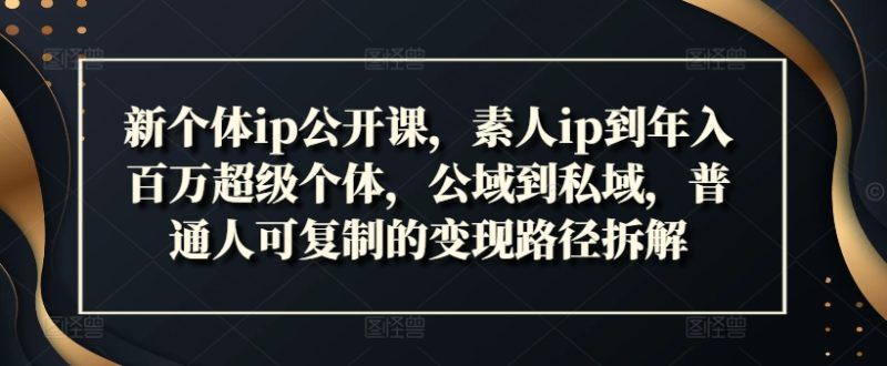 新个体ip公开课,素人ip到年入百万超级个体,公域到私域,普通人可复制的变现路径拆解网赚项目-副业赚钱-互联网创业-资源整合八方网创