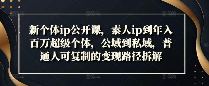 新个体ip公开课，素人ip到年入百万超级个体，公域到私域，普通人可复制的变现路径拆解网赚项目-副业赚钱-互联网创业-资源整合八方网创