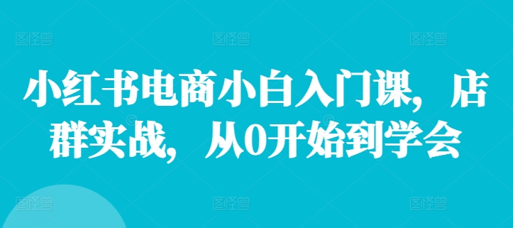 小红书电商小白入门课，店群实战，从0开始到学会网赚项目-副业赚钱-互联网创业-资源整合八方网创