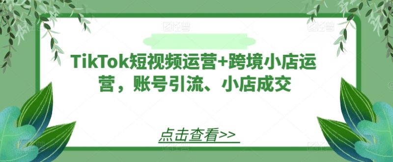 TikTok短视频运营+跨境小店运营,账号引流、小店成交网赚项目-副业赚钱-互联网创业-资源整合八方网创