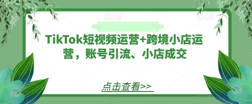 TikTok短视频运营+跨境小店运营，账号引流、小店成交网赚项目-副业赚钱-互联网创业-资源整合八方网创