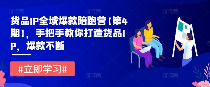 货品IP全域爆款陪跑营【第4期】，手把手教你打造货品IP，爆款不断网赚项目-副业赚钱-互联网创业-资源整合八方网创
