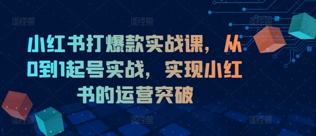 小红书打爆款实战课，从0到1起号实战，实现小红书的运营突破网赚项目-副业赚钱-互联网创业-资源整合八方网创