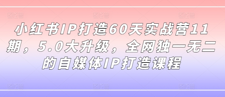 小红书IP打造60天实战营11期，5.0大升级，全网独一无二的自媒体IP打造课程网赚项目-副业赚钱-互联网创业-资源整合八方网创