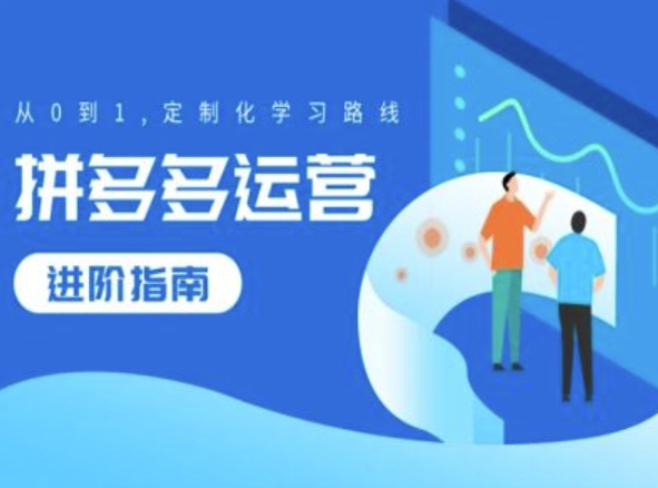 拼多多运营进阶指南，从0到1定制化学习路线网赚项目-副业赚钱-互联网创业-资源整合八方网创