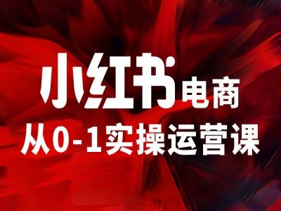 小红书电商从0-1实操运营课，让你从小白到精英网赚项目-副业赚钱-互联网创业-资源整合八方网创