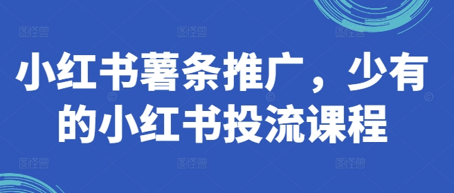 小红书薯条推广，少有的小红书投流课程网赚项目-副业赚钱-互联网创业-资源整合八方网创
