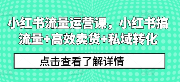 小红书流量运营课，小红书搞流量+高效卖货+私域转化网赚项目-副业赚钱-互联网创业-资源整合八方网创