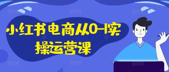 小红书电商从0-1实操运营课，小红书手机实操小红书/IP和私域课/小红书电商电脑实操板块等网赚项目-副业赚钱-互联网创业-资源整合八方网创