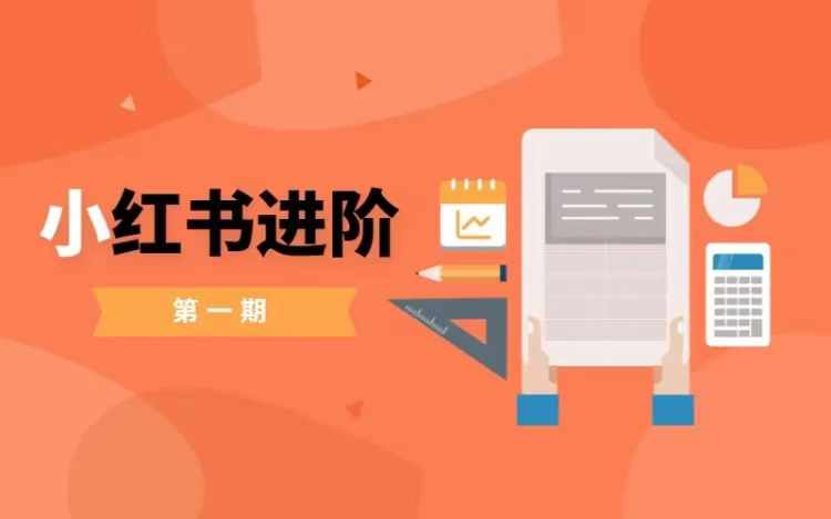 小红书进阶篇，零基础小白实战课，普通人变现的课程网赚项目-副业赚钱-互联网创业-资源整合八方网创