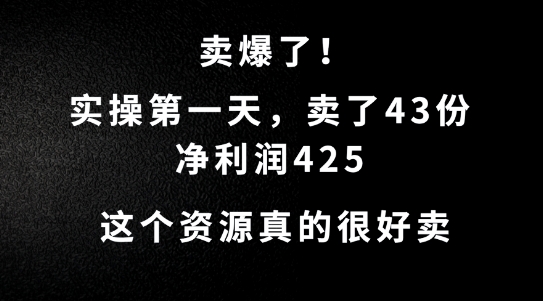 这个资源，需求很大，实操第一天卖了43份，净利润425网赚项目-副业赚钱-互联网创业-资源整合八方网创