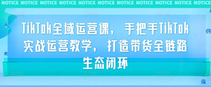 TikTok全域运营课，手把手TikTok实战运营教学，打造带货全链路生态闭环网赚项目-副业赚钱-互联网创业-资源整合八方网创