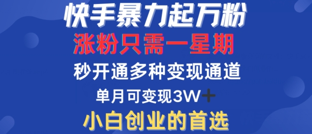 快手暴力起万粉，涨粉只需一星期，多种变现模式，直接秒开万合，单月变现过W网赚项目-副业赚钱-互联网创业-资源整合八方网创