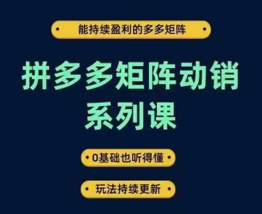 拼多多矩阵动销系列课，能持续盈利的多多矩阵，0基础也听得懂，玩法持续更新网赚项目-副业赚钱-互联网创业-资源整合八方网创