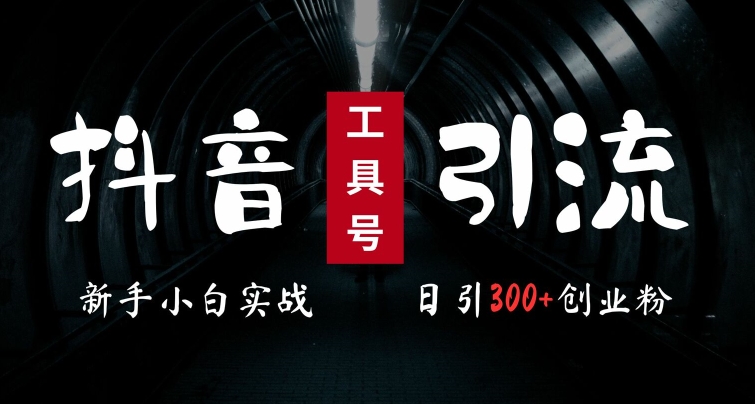 2024最新抖音工具号引流玩法，高效日引300+创业粉，当天变现5k，小白也可成为实战高手网赚项目-副业赚钱-互联网创业-资源整合八方网创