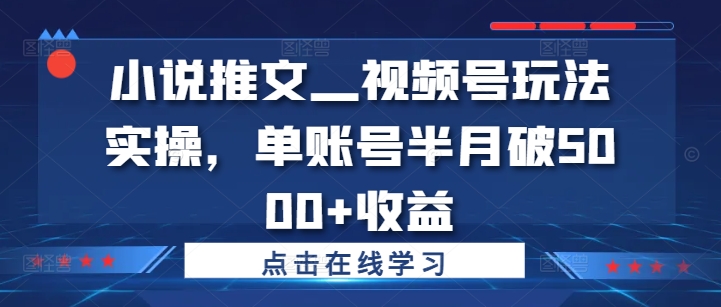 小说推文—视频号玩法实操，单账号半月破5000+收益网赚项目-副业赚钱-互联网创业-资源整合八方网创