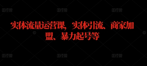 实体流量运营课，实体引流、商家加盟、暴力起号等网赚项目-副业赚钱-互联网创业-资源整合八方网创