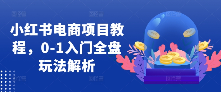 小红书电商项目教程，0-1入门全盘玩法解析网赚项目-副业赚钱-互联网创业-资源整合八方网创
