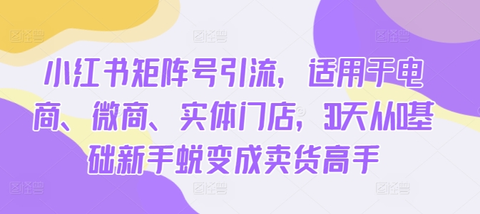 小红书矩阵号引流，适用于电商、微商、实体门店，30天从0基础新手蜕变成卖货高手网赚项目-副业赚钱-互联网创业-资源整合八方网创