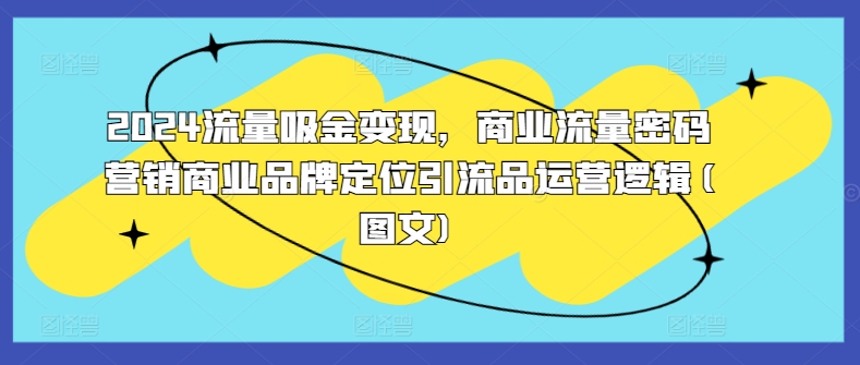 2024流量吸金变现，商业流量密码营销商业品牌定位引流品运营逻辑(图文)网赚项目-副业赚钱-互联网创业-资源整合八方网创