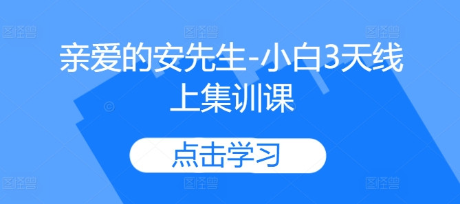 亲爱的安先生-小白3天线上集训课网赚项目-副业赚钱-互联网创业-资源整合八方网创
