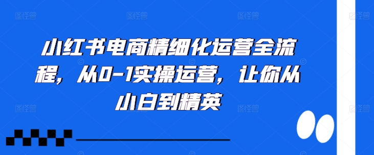 小红书电商精细化运营全流程，从0-1实操运营，让你从小白到精英网赚项目-副业赚钱-互联网创业-资源整合八方网创