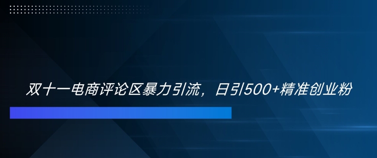 双十一电商评论区暴力引流，日引500+精准创业粉网赚项目-副业赚钱-互联网创业-资源整合八方网创